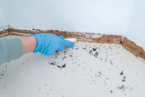 Best Commercial Pest Control Services  in Stryker, OH